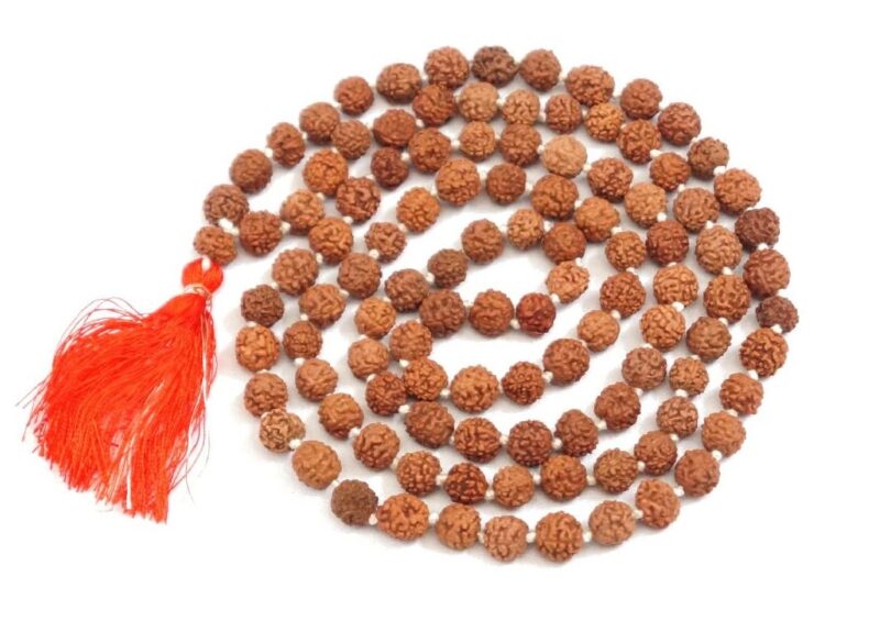 Japa Mala de Rudraksha